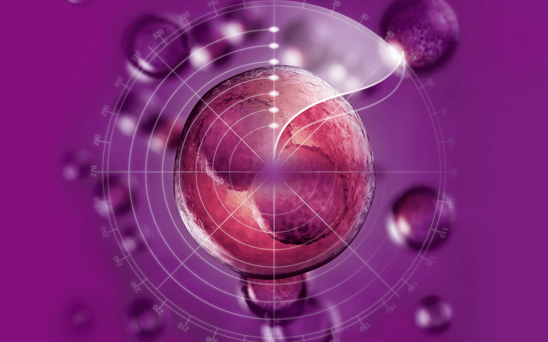 Caremaps Embryo Selection Technology