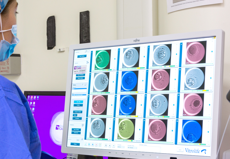 Embryologist looking at a screen with images of several embryos