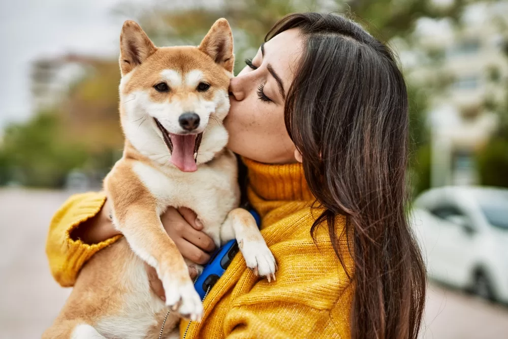 Young woman in a mustard coloured sweater kissing a medium sized white and brown dog in her arms
