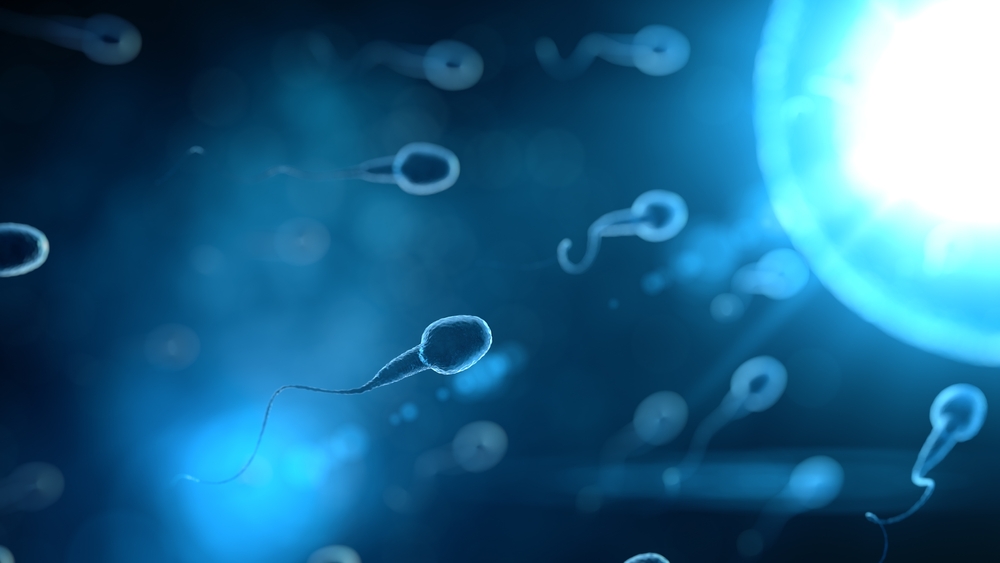 Sperm DNA Fragmentation-An Overview