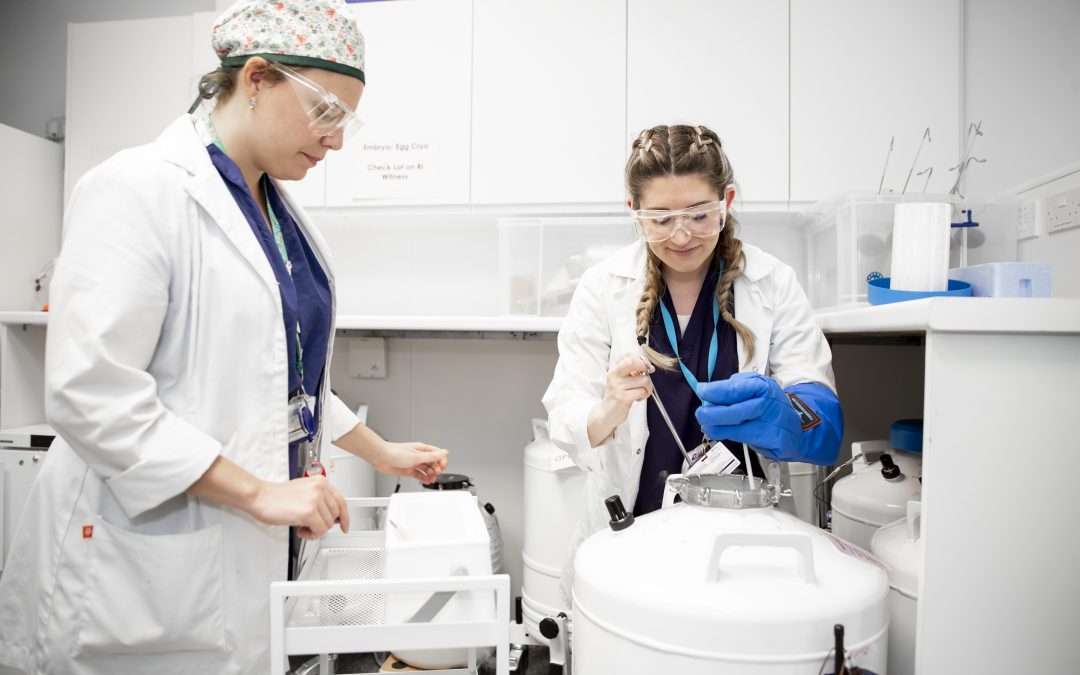 Egg Freezing in Ireland. Your Complete Guide.
